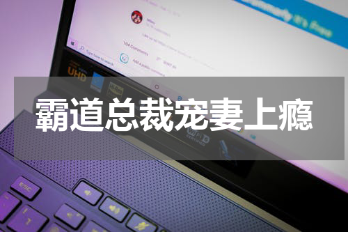 霸道总裁宠妻上瘾