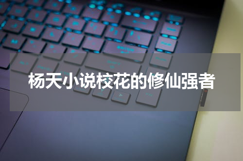 杨天小说校花的修仙强者