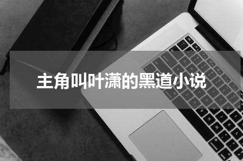 主角叫叶潇的黑道小说
