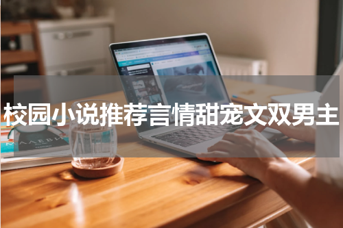 校园小说推荐言情甜宠文双男主