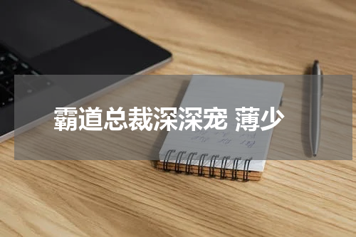 霸道总裁深深宠 薄少