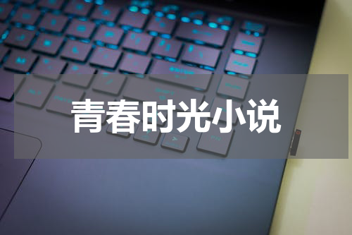 青春时光小说