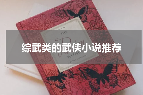 综武类的武侠小说推荐