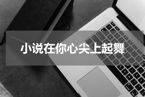 小说在你心尖上起舞