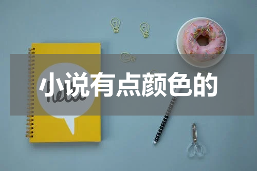 小说有点颜色的