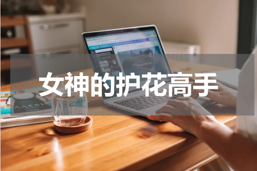 女神的护花高手