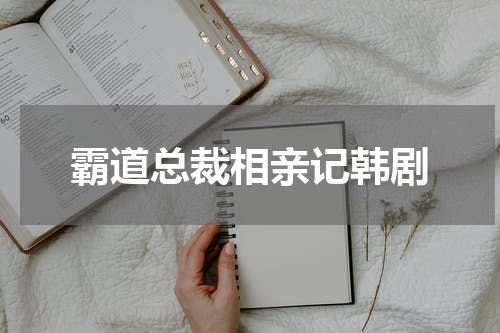 霸道总裁相亲记韩剧