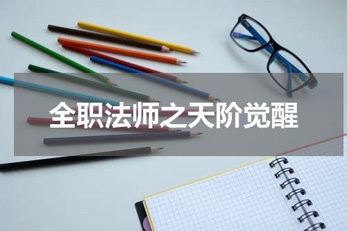 全职法师之天阶觉醒