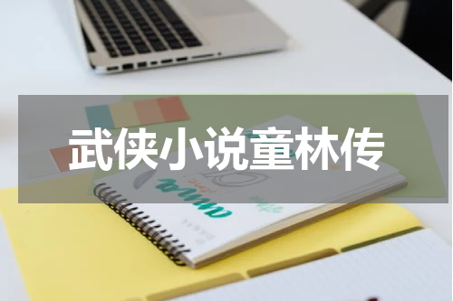 武侠小说童林传