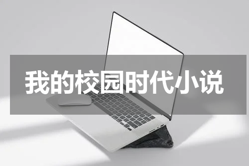 我的校园时代小说
