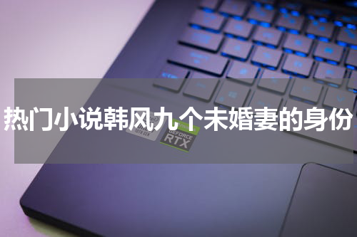 热门小说韩风九个未婚妻的身份