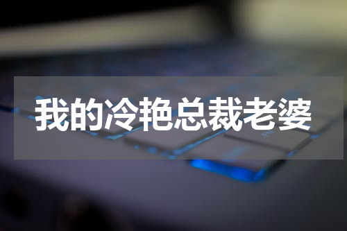 我的冷艳总裁老婆