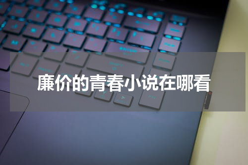 廉价的青春小说在哪看