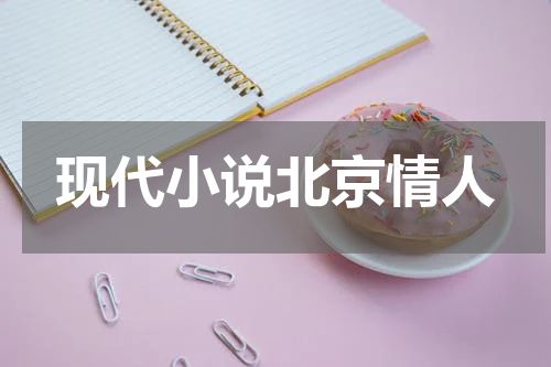 现代小说北京情人