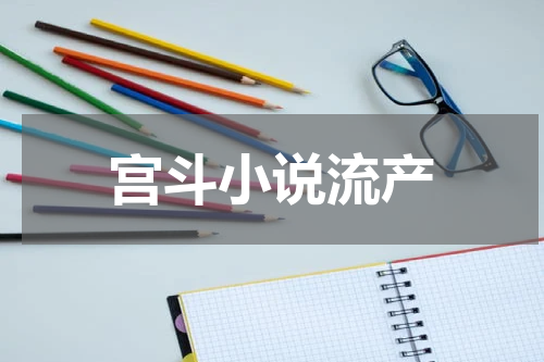 宫斗小说流产