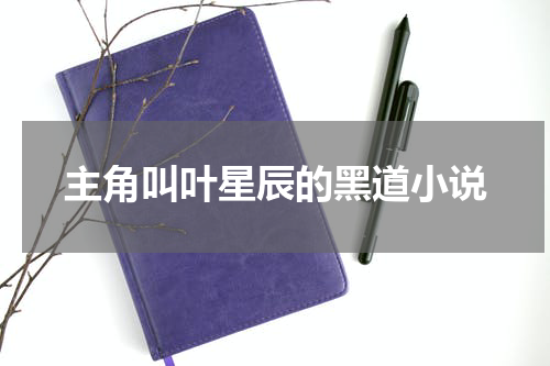 主角叫叶星辰的黑道小说