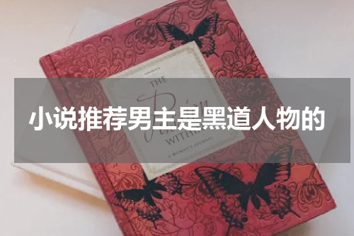 小说推荐男主是黑道人物的
