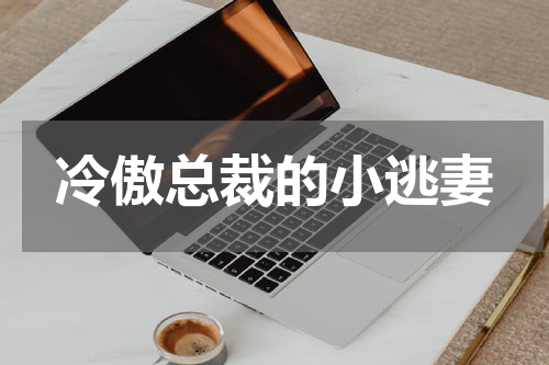 冷傲总裁的小逃妻