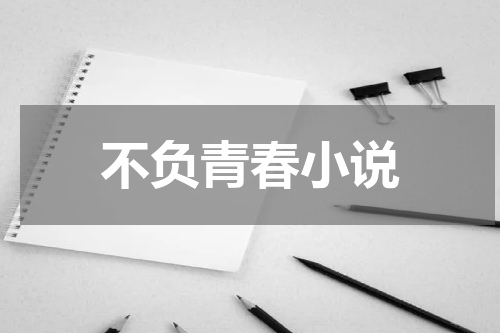 不负青春小说