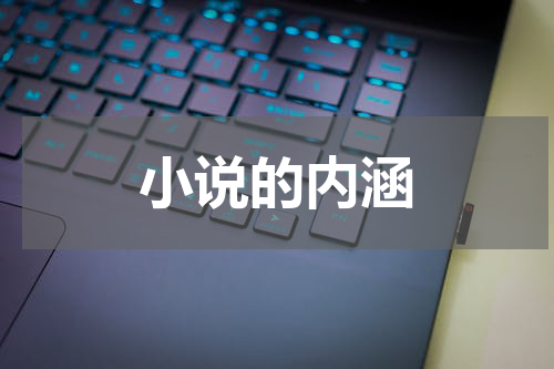 小说的内涵