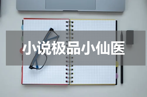 小说极品小仙医
