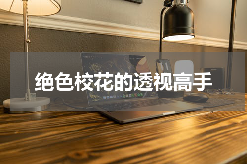 绝色校花的透视高手