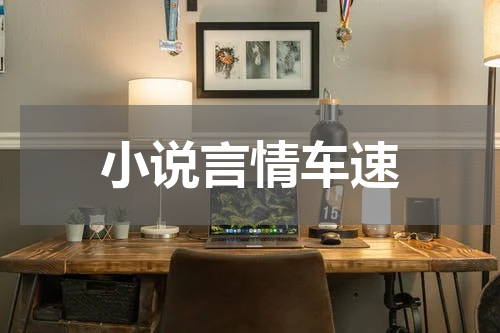 小说言情车速