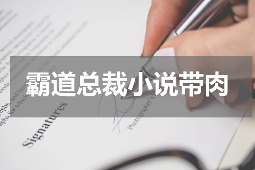 霸道总裁小说带肉