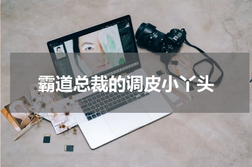 霸道总裁的调皮小丫头