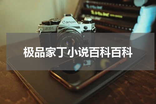 极品家丁小说百科百科
