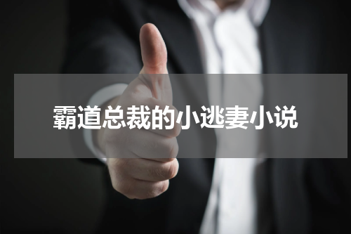 霸道总裁的小逃妻小说