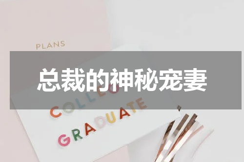 总裁的神秘宠妻