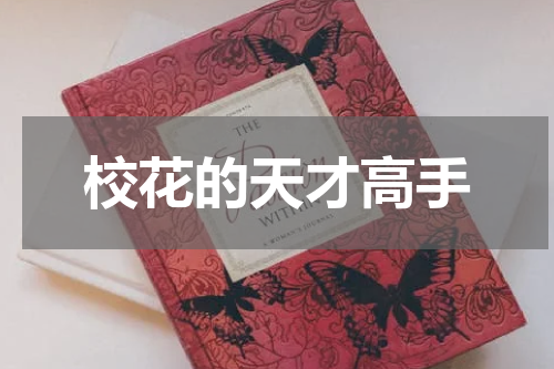 校花的天才高手