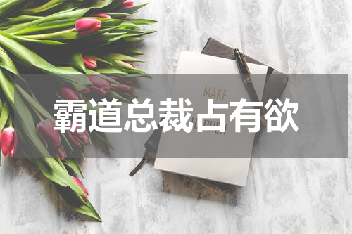 霸道总裁占有欲