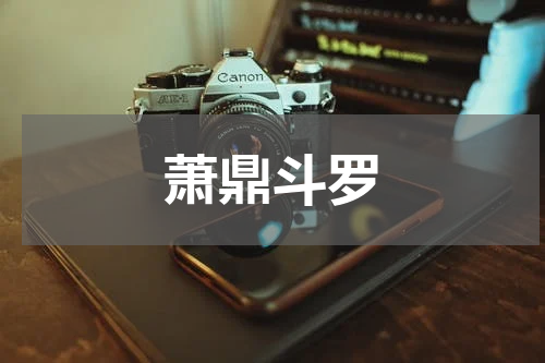 萧鼎斗罗
