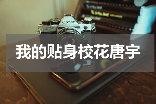 我的贴身校花唐宇