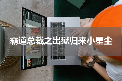 霸道总裁之出狱归来小星尘
