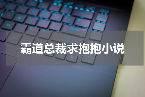 霸道总裁求抱抱小说