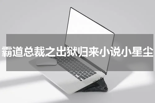 霸道总裁之出狱归来小说小星尘