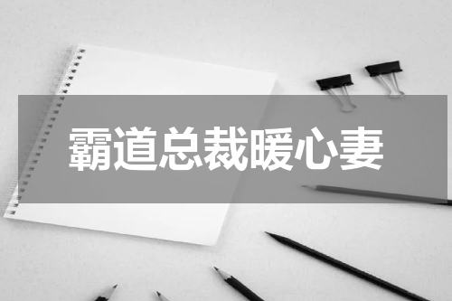 霸道总裁暖心妻
