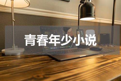 青春年少小说