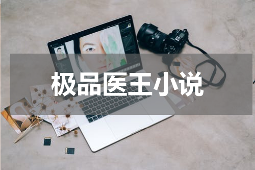 极品医王小说