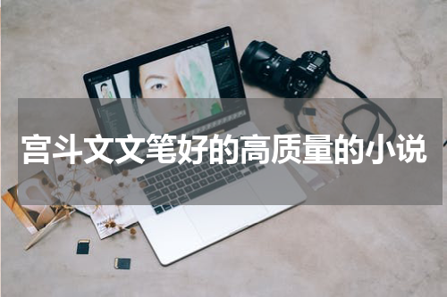 宫斗文文笔好的高质量的小说