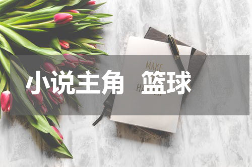 小说主角  篮球