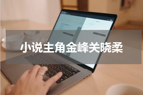 小说主角金峰关晓柔
