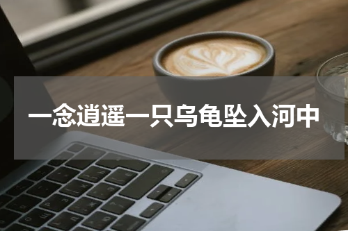 一念逍遥一只乌龟坠入河中
