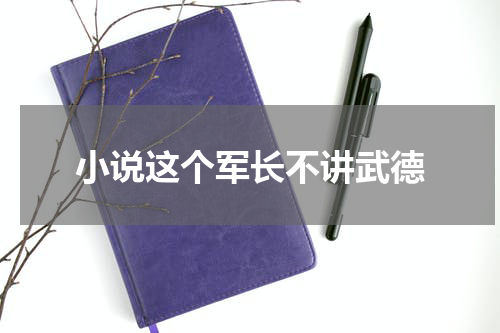 小说这个军长不讲武德