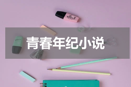 青春年纪小说