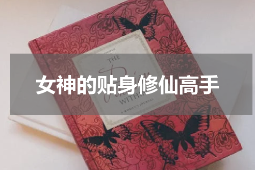 女神的贴身修仙高手