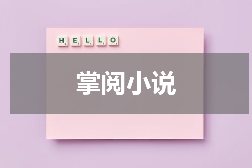 掌阅小说